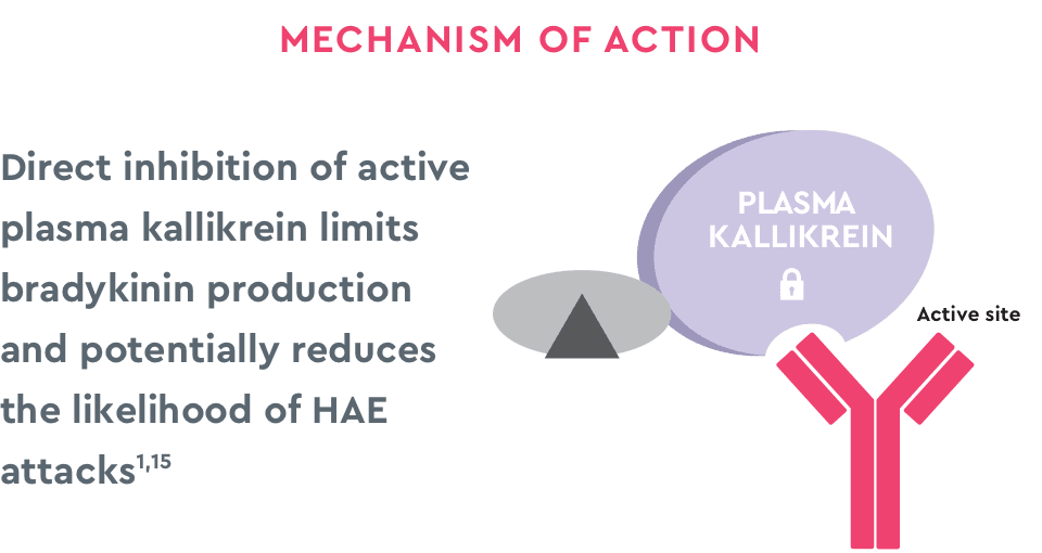 Mechanism of action