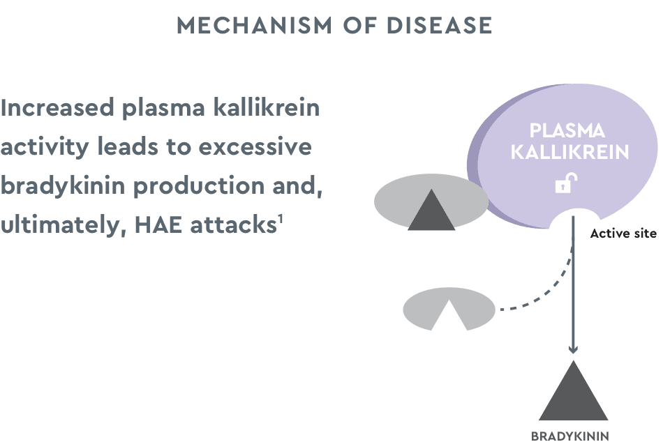Mechanism of disease